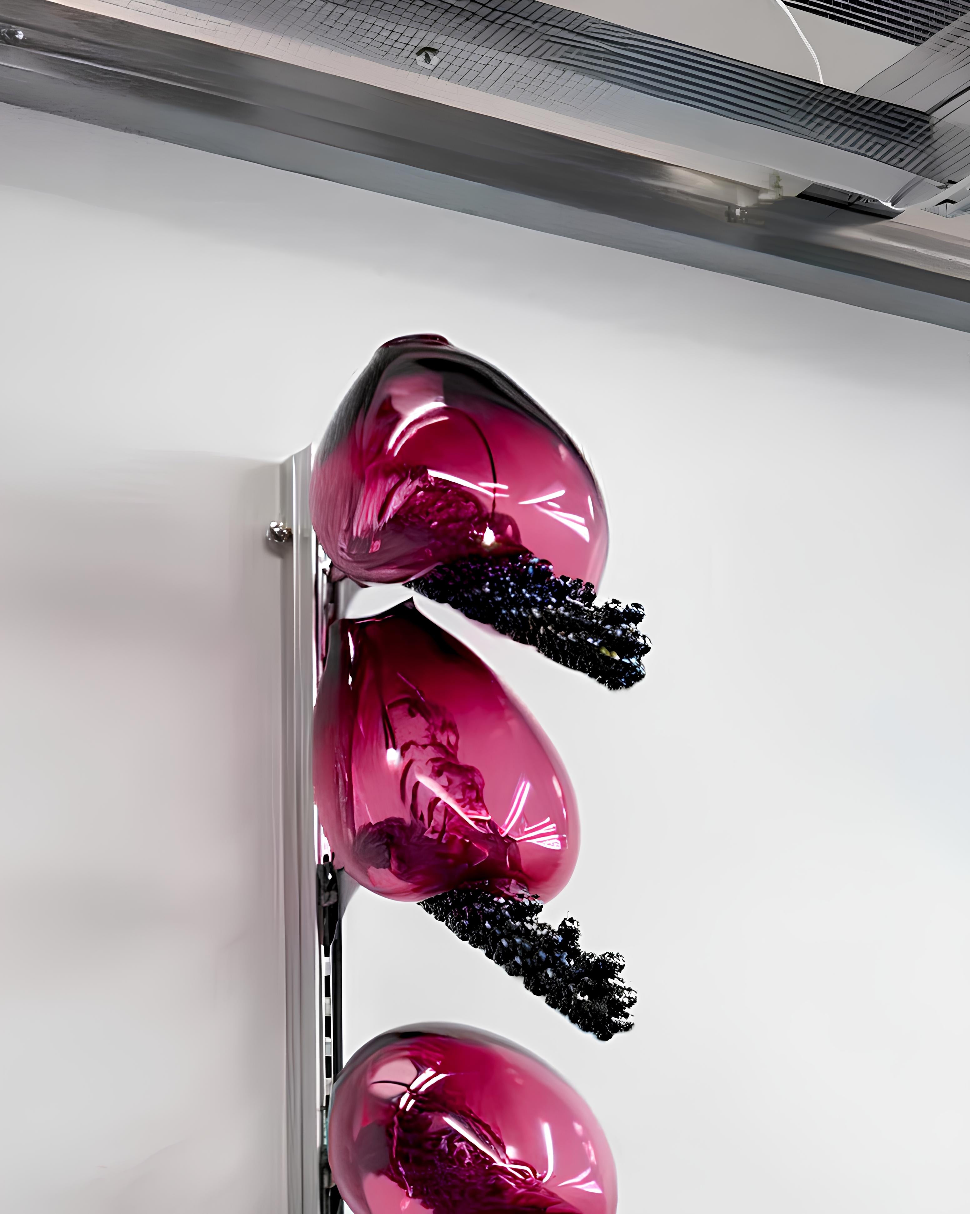 Candy bacteria highlight