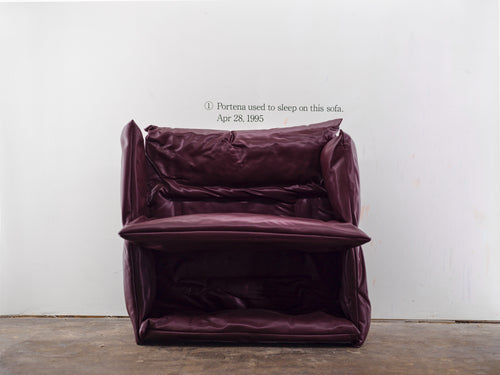 Portena used to sleep on this sofa.Apr 28,1995(compression time series)