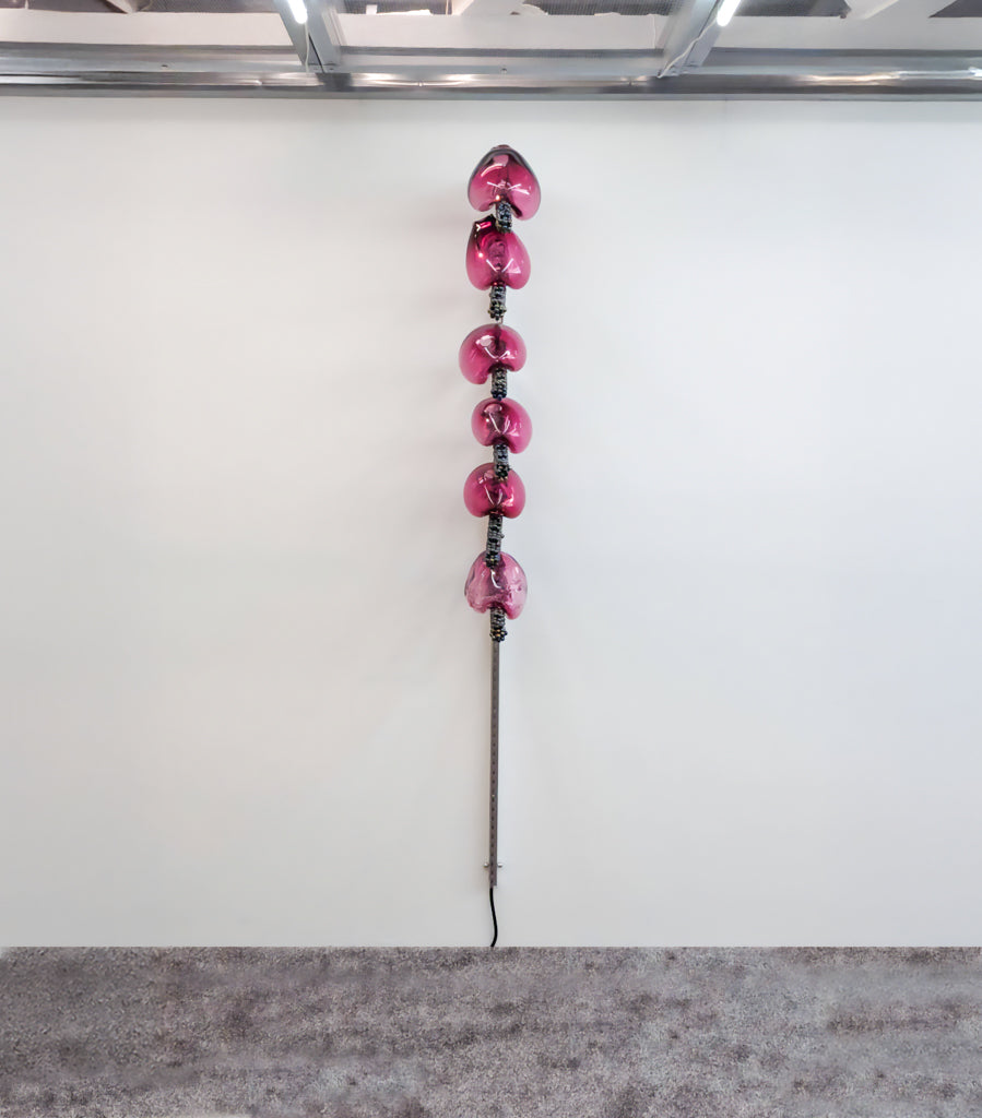 CB01_Candy bacteria highlight