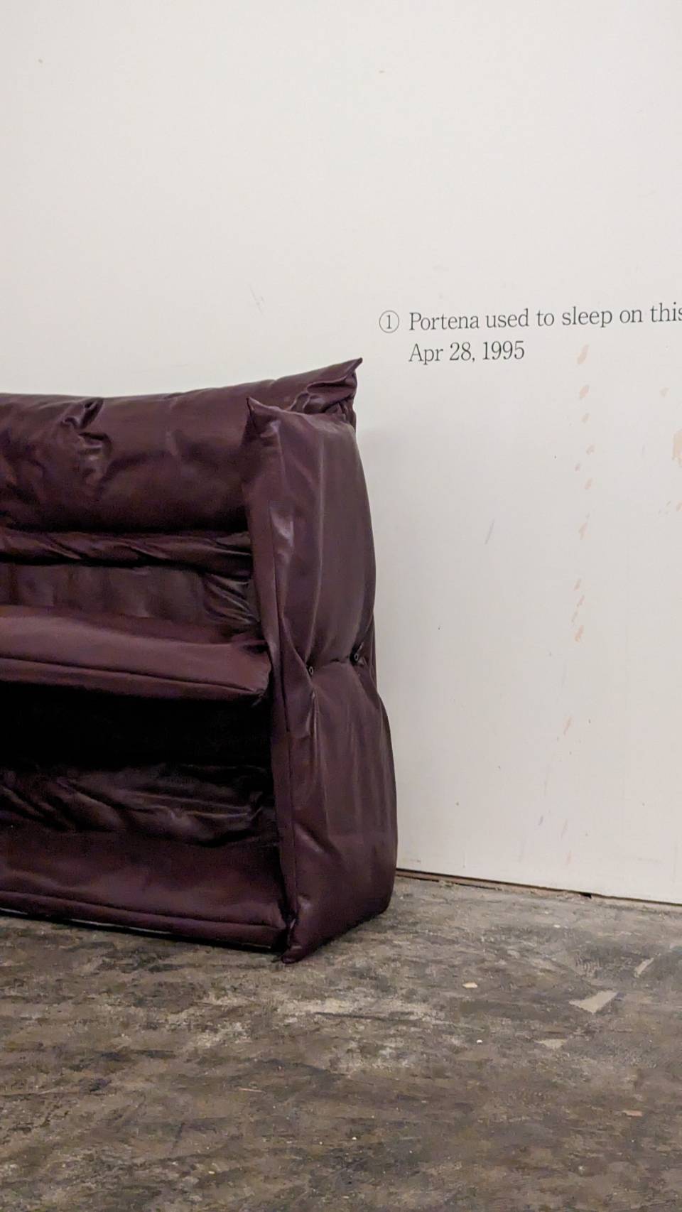 Portena used to sleep on this sofa.Apr 28,1995(compression time series)