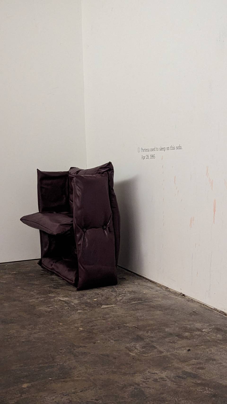 Portena used to sleep on this sofa.Apr 28,1995(compression time series)