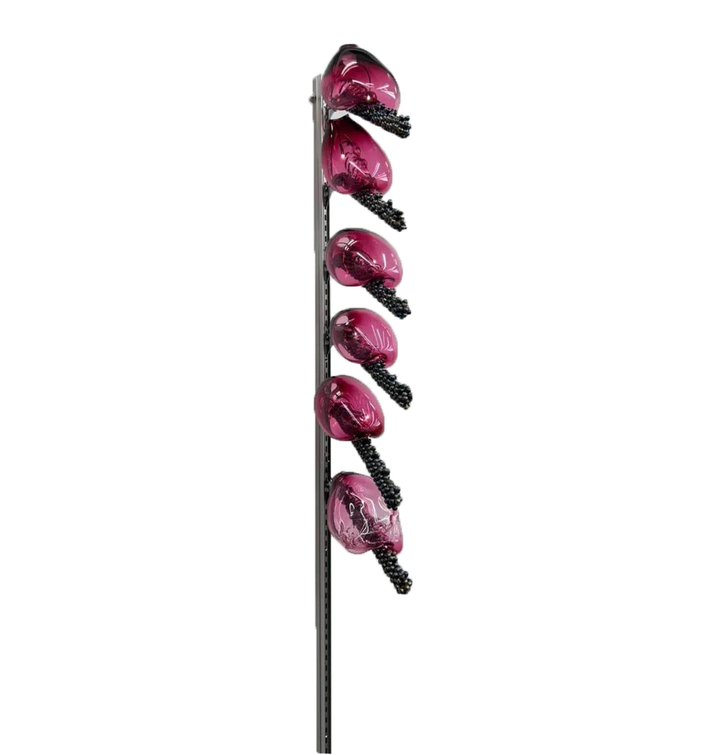 Candy bacteria highlight