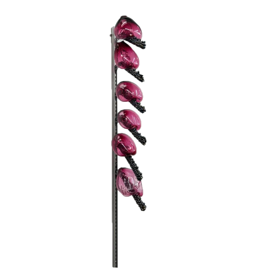 Candy bacteria highlight