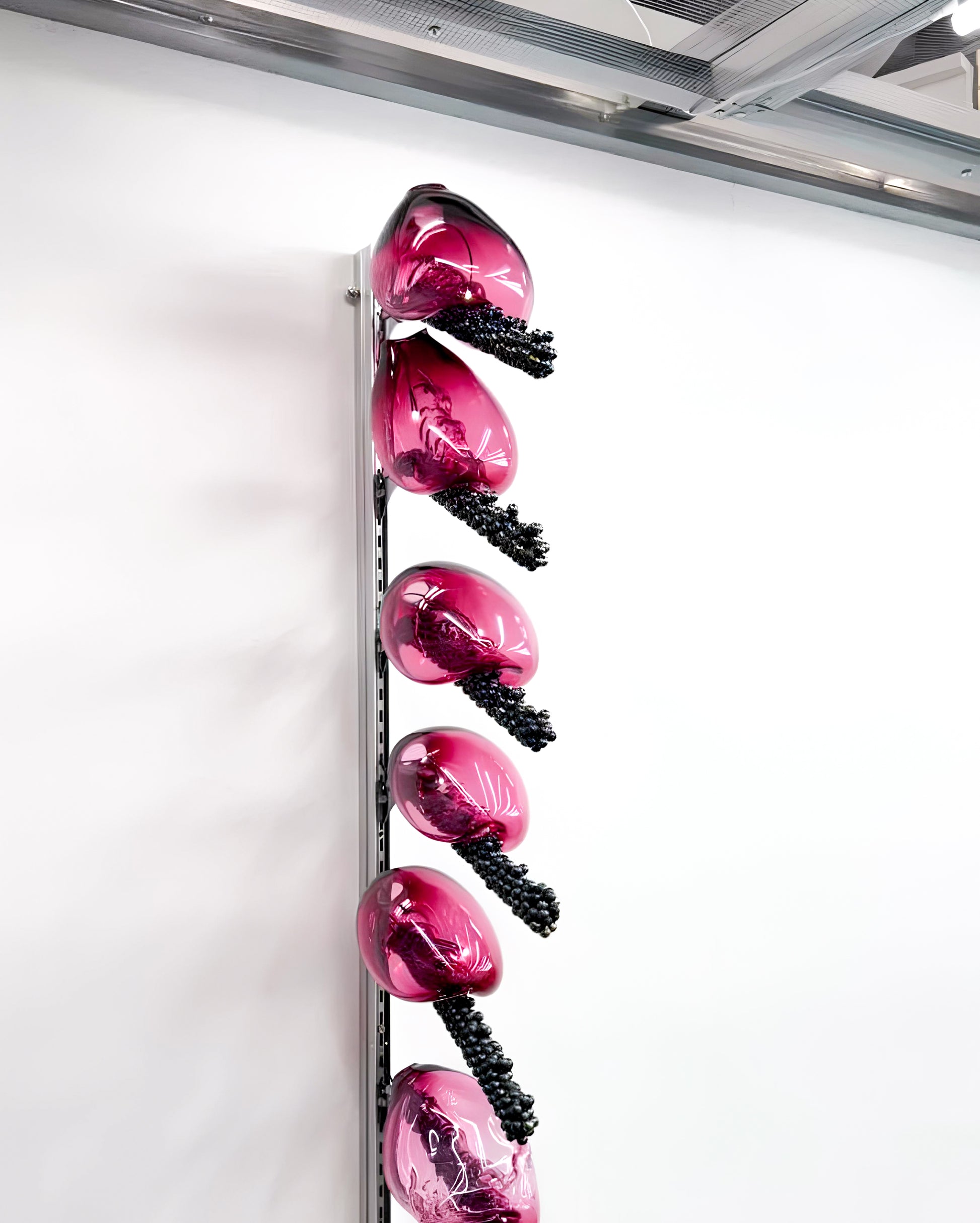 CB01_Candy bacteria highlight