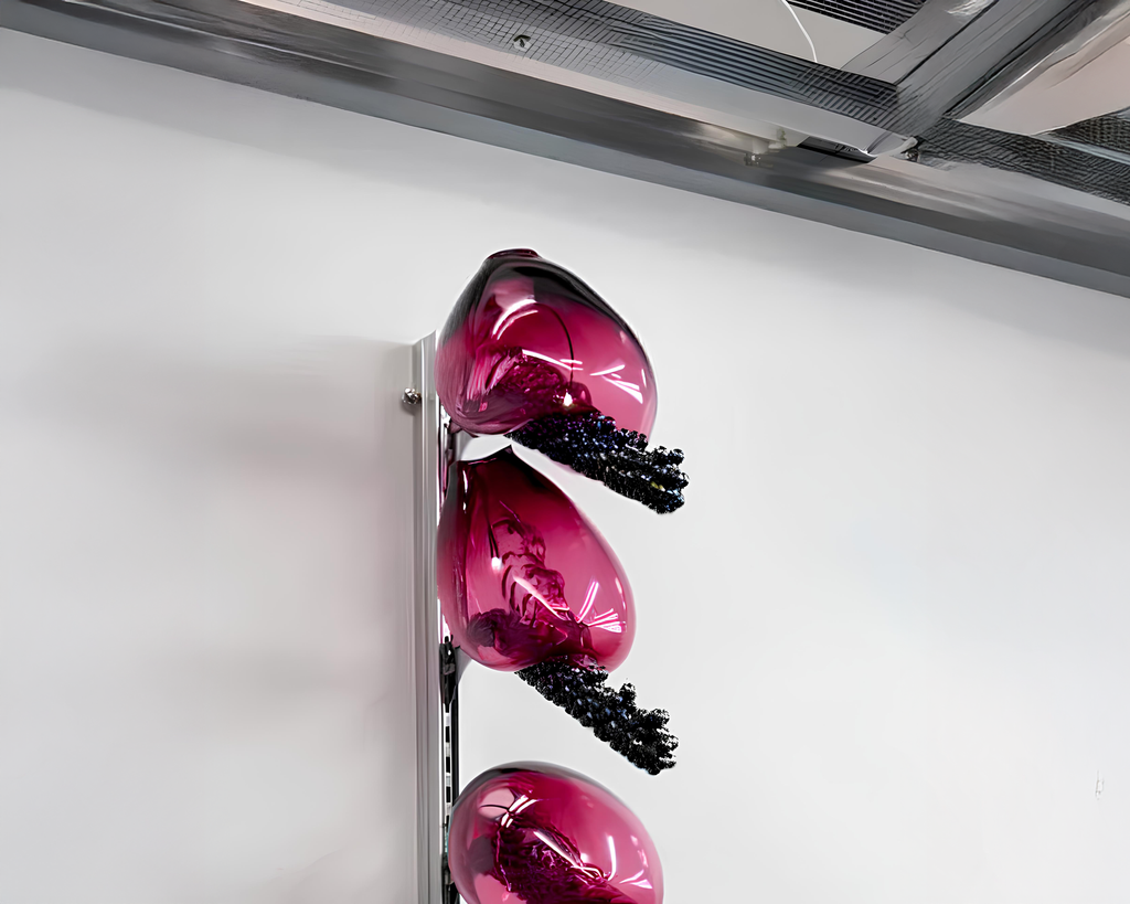 CB01_Candy bacteria highlight