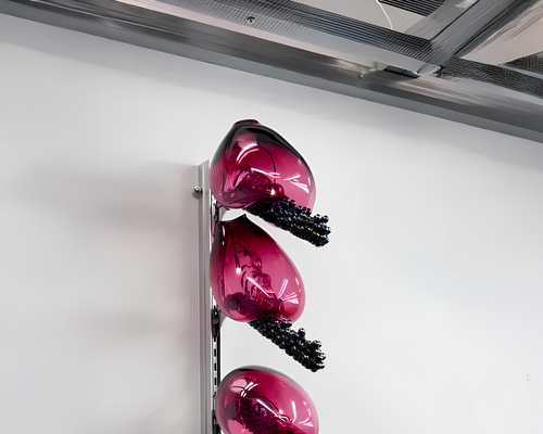 CB01_Candy bacteria highlight