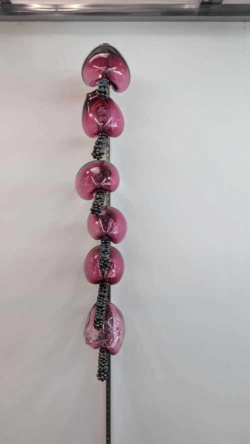 Candy bacteria highlight