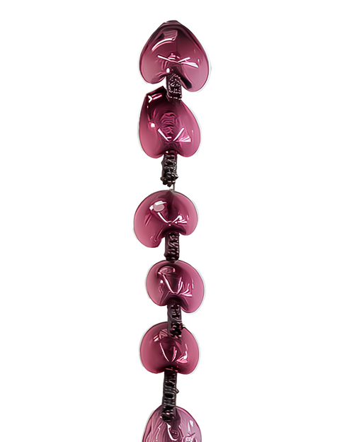 CB01_Candy bacteria highlight