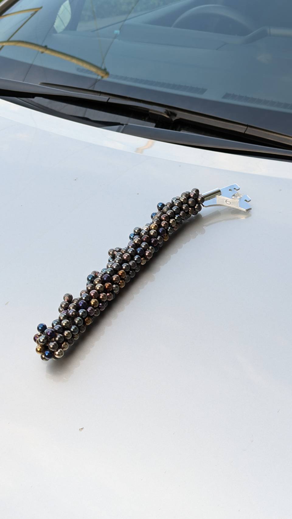 Candy bacteria highlight