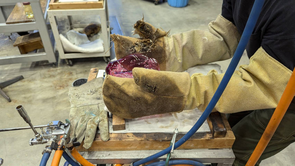 Candy bacteria highlight