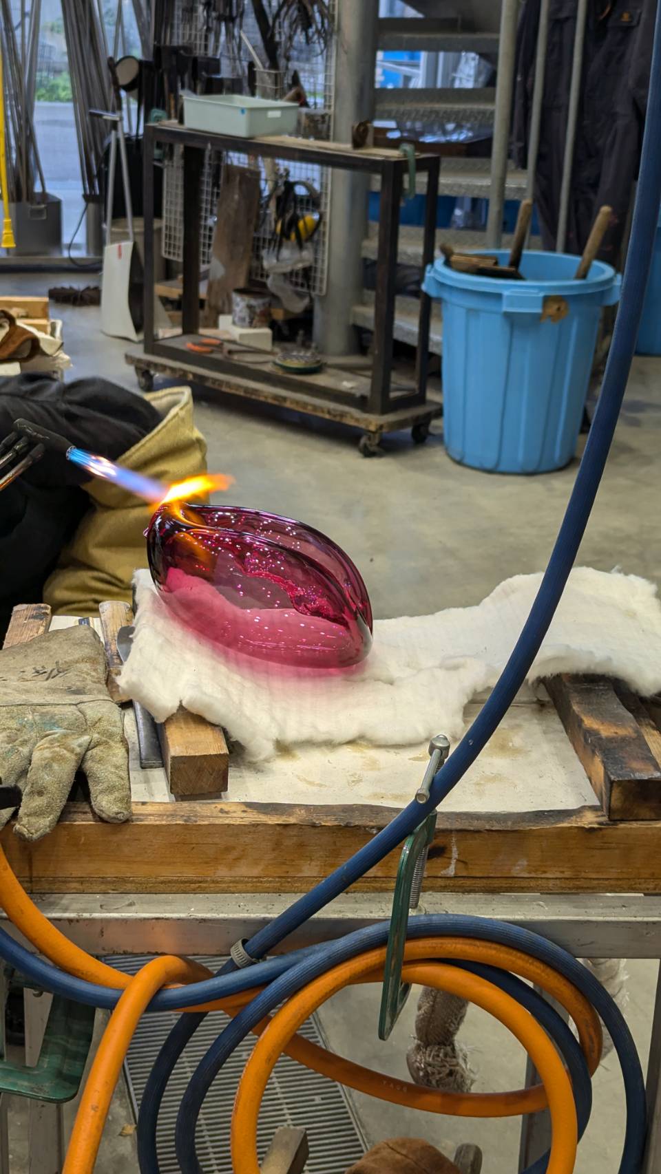 Candy bacteria highlight