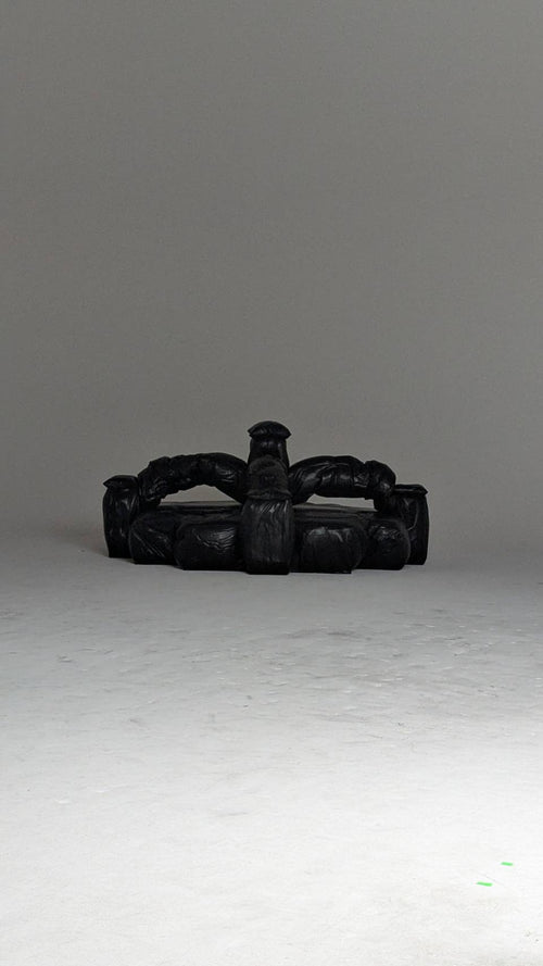 CT01_Our sleep on the sofa. Feb 28, 1999 (Time-series compression)