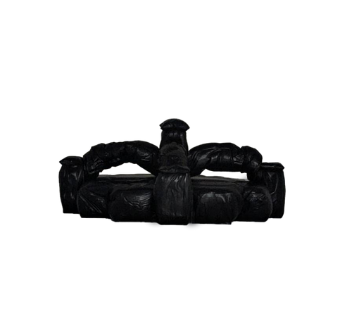 CT01_Our sleep on the sofa. Feb 28, 1999 (Time-series compression)